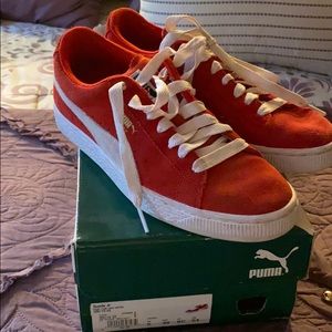 Red pumas